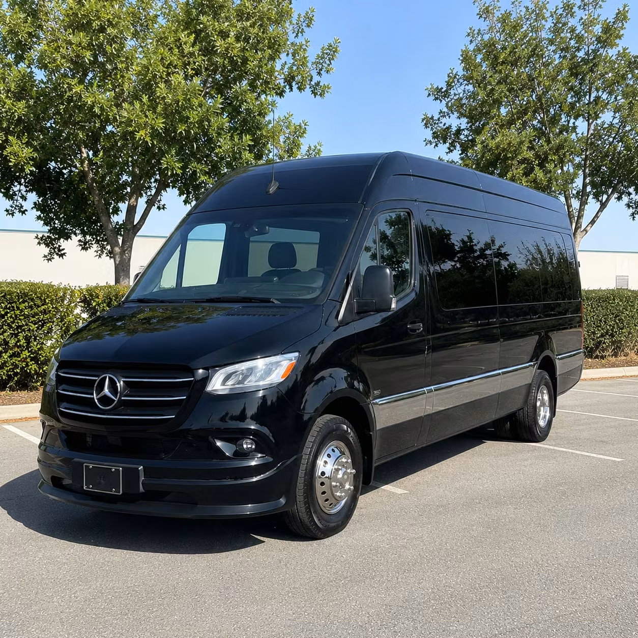 sprinter van with driver